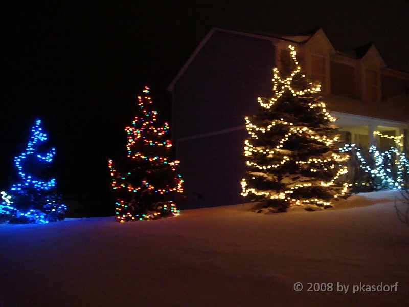 024 A2 Snowfall & Trees [2008 Dec 20].JPG - Our Christmas Trees for 2008.